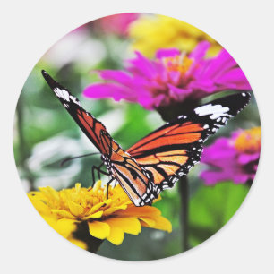 Schmetterling auf Blume #2 Runder Aufkleber