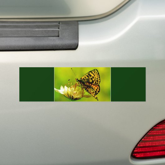 Schmetterling auf Blume Autoaufkleber (Auf Auto)