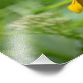 Schmetterling auf Blume Foto drucken (Ecke)
