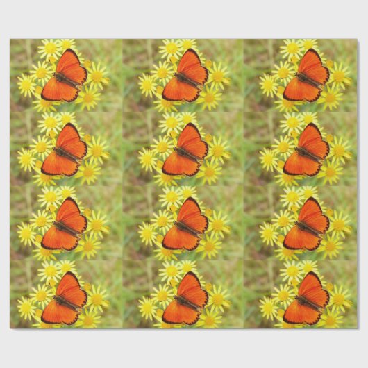 Schmetterling auf Blume Geschenkpapier (Flach)