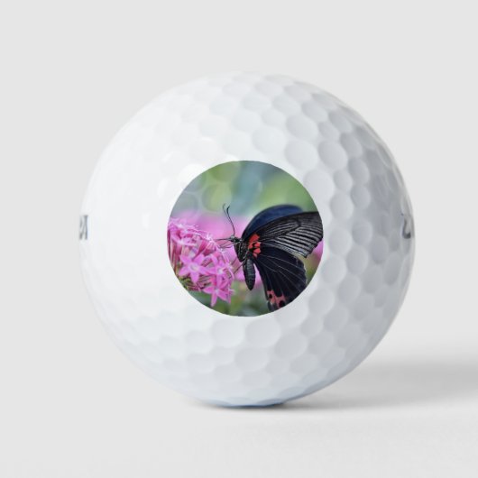 Schmetterling auf Blume Golfball (Vorderseite)