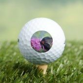 Schmetterling auf Blume Golfball (Insitu T-Shirt)