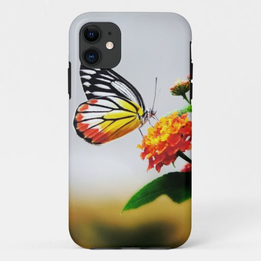 Schmetterling auf Blume iPhone Case (Rückseite)