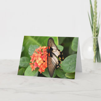 Schmetterling auf Blume Karte