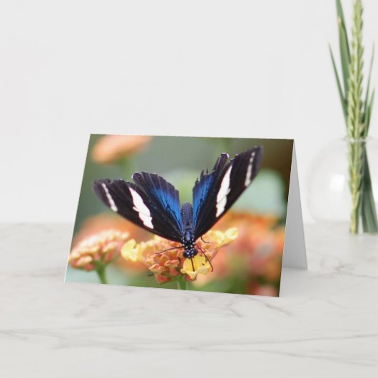 Schmetterling auf Blume Karte (Vorderseite)