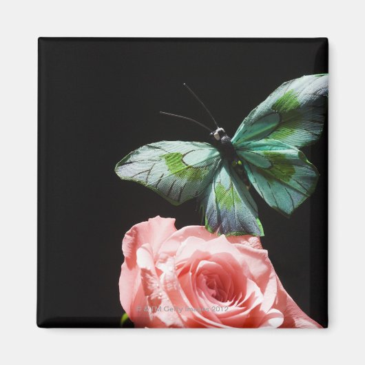 Schmetterling auf Blume Magnet (Vorne)