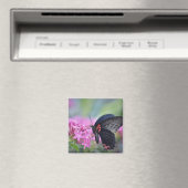 Schmetterling auf Blume Magnet (In Situ (Geschirrspüler))