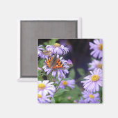 Schmetterling auf Blume Magnet (Vorderseite/Rückseite)