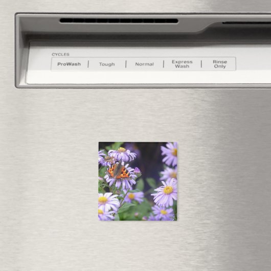 Schmetterling auf Blume Magnet (In Situ (Geschirrspüler))