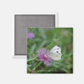 Schmetterling auf Blume Magnet (Vorderseite/Rückseite)