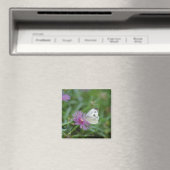 Schmetterling auf Blume Magnet (In Situ (Geschirrspüler))