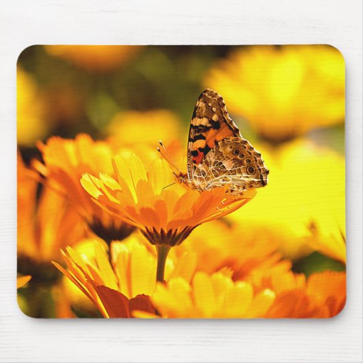Schmetterling auf Blume Mousepad (Vorne)