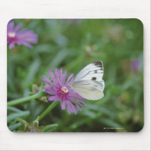 Schmetterling auf Blume Mousepad