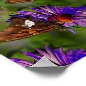 Schmetterling auf Blume Natur Abstrakt Poster (Ecke)
