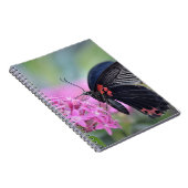 Schmetterling auf Blume Notizblock (Rechte Seite)
