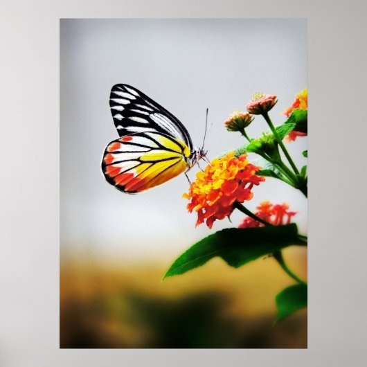 Schmetterling auf Blume Poster (Vorne)