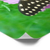 Schmetterling auf Blume Poster (Ecke)