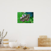 Schmetterling auf Blume Poster (Küche)