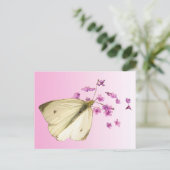 Schmetterling auf Blume Postkarte (Stehend Vorderseite)