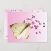 Schmetterling auf Blume Postkarte (Vorne/Hinten)