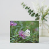 Schmetterling auf Blume Postkarte (Stehend Vorderseite)