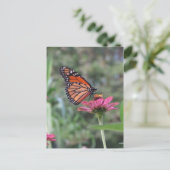 Schmetterling auf Blume Postkarte (Stehend Vorderseite)
