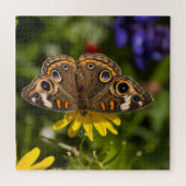 Schmetterling auf Blume Puzzle (Horizontal)