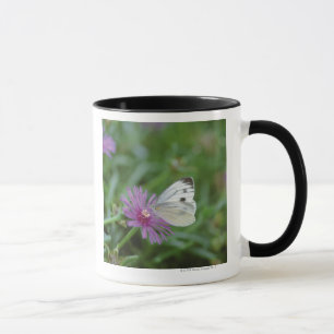 Schmetterling auf Blume Tasse