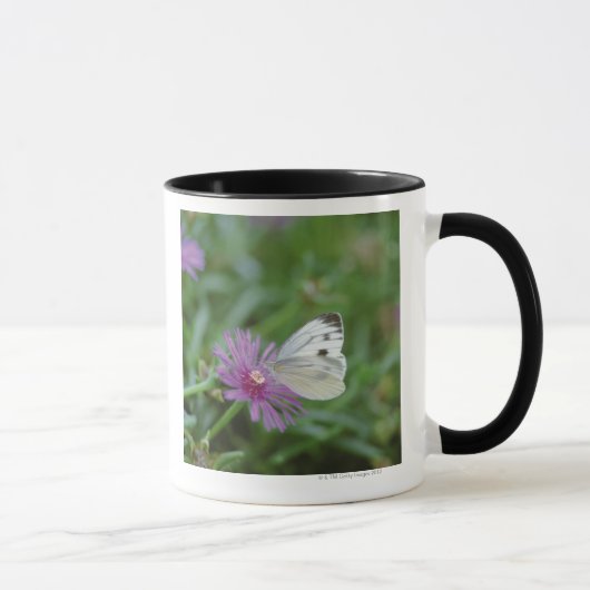 Schmetterling auf Blume Tasse (Rechts)