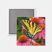 Schmetterling auf Blume v22 Magnet (Vorderseite/Rückseite)