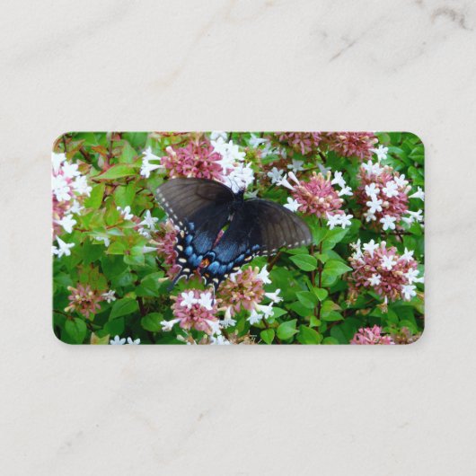 Schmetterling auf Blume-Visitenkarten Visitenkarte (Vorderseite)