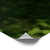 Schmetterling auf Blume w Verse aus Isaiah 40:31 Poster (Ecke)