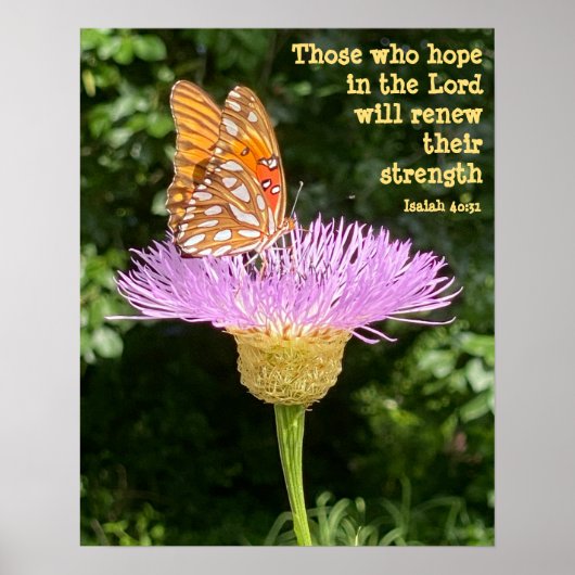 Schmetterling auf Blume w Verse aus Isaiah 40:31 Poster (Vorne)
