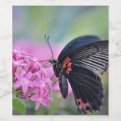 Schmetterling auf Blume Weinetikett (Einzelnes Label)