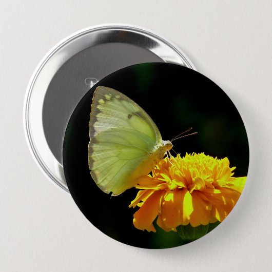 Schmetterling auf Blumen-Knopf-Button Button (Vorne & Hinten)