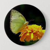 Schmetterling auf Blumen-Knopf-Button Button (Vorderseite)