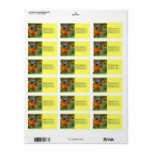 Schmetterling auf dem Etikett für Orange und Gelbe Adressaufkleber (Vorne)