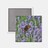 Schmetterling auf dem Lavendel-Kühlschrankmagnet Magnet (Vorderseite/Rückseite)