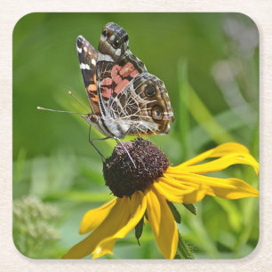 Schmetterling auf dem schwarz-mit Augen Susan-Part Rechteckiger Pappuntersetzer