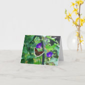 Schmetterling auf den Blume der Morgenherrschaft Karte (Gelbe Blume)