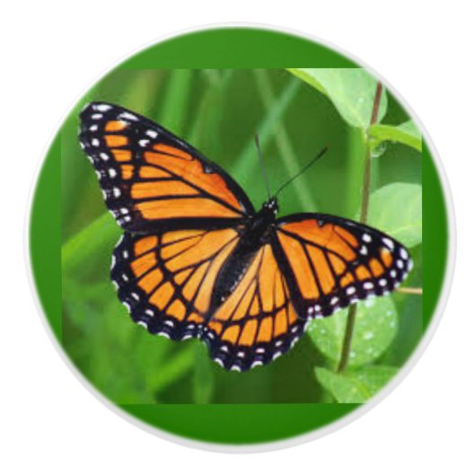 Schmetterling auf den Knochen und Keramiken Keramikknauf (Vorderseite)