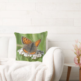 Schmetterling auf den weißen Blume Kissen