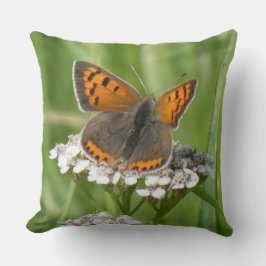 Schmetterling auf den weißen Blume Kissen