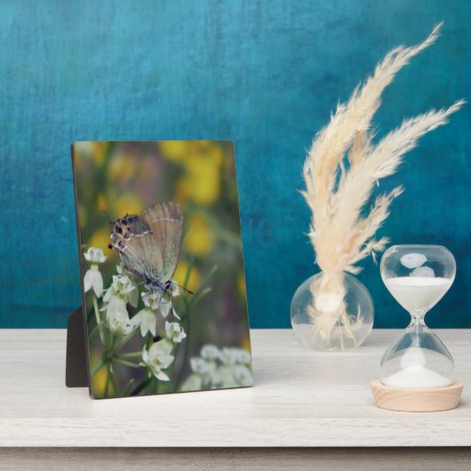 Schmetterling auf der Blume Fotoplatte (Seite)