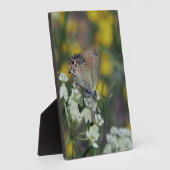 Schmetterling auf der Blume Fotoplatte (Seite)