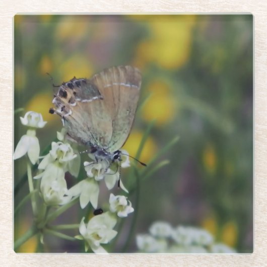 Schmetterling auf der Blume Glasuntersetzer (Vorderseite)