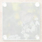 Schmetterling auf der Blume Glasuntersetzer (Rückseite)