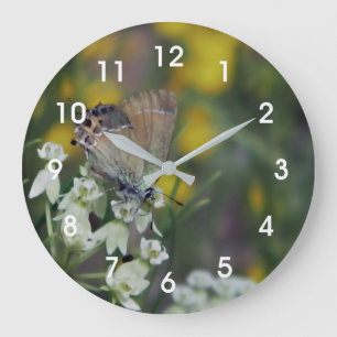 Schmetterling auf der Blume Große Wanduhr