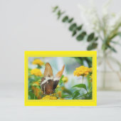 Schmetterling auf der Blume Postkarte (Stehend Vorderseite)