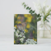 Schmetterling auf der Blume Postkarte (Stehend Vorderseite)